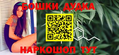 прущие грибы Комсомольск-на-Амуре