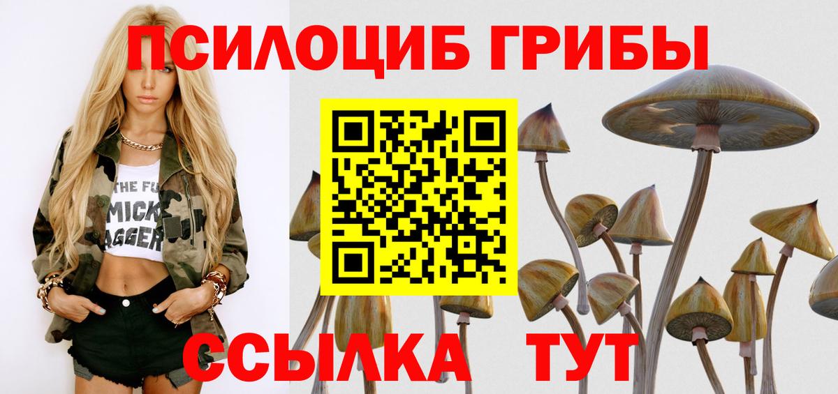 Галлюциногенные грибы GOLDEN TEACHER Клин
