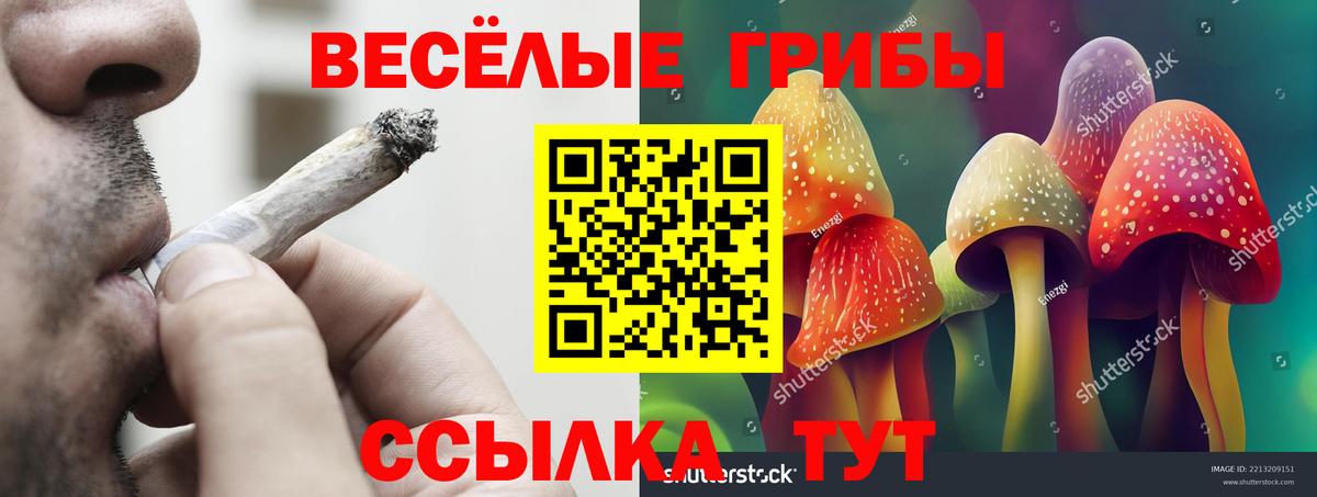 Клин  Псилоцибиновые грибы мухоморы  Вход с VPN 